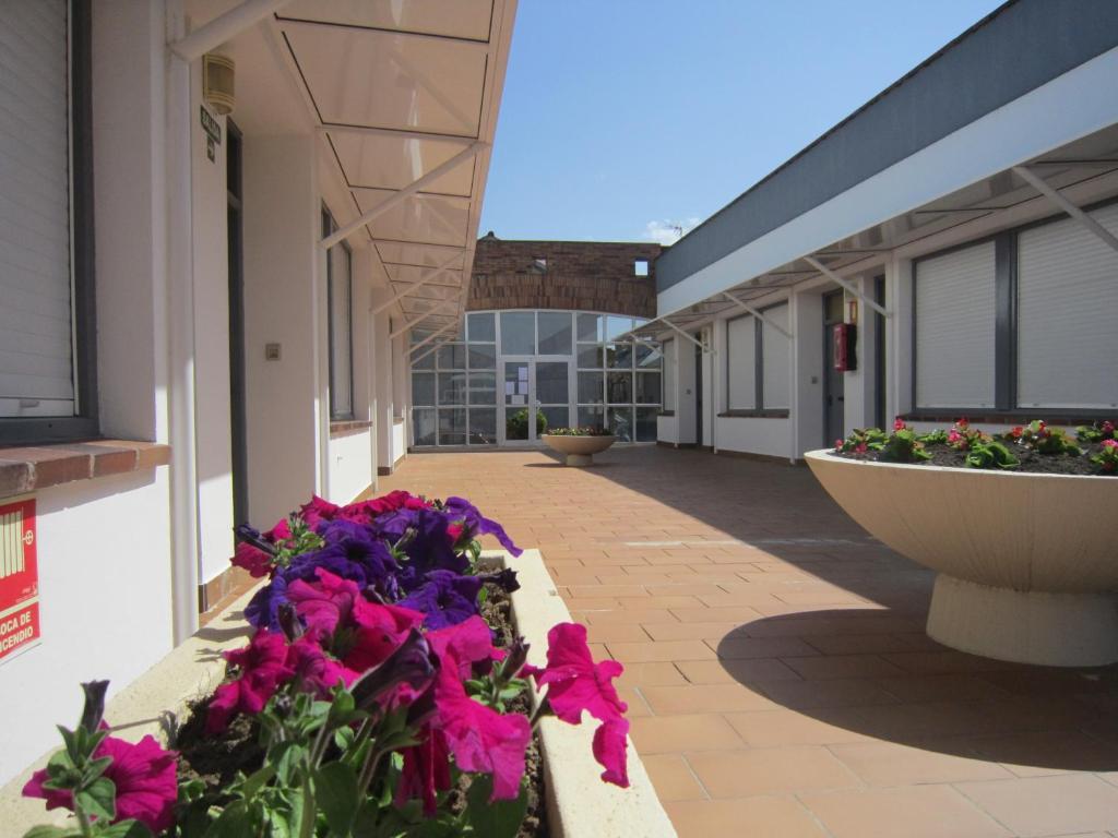 Apartamentos Elena ลาเรโด ภายนอก รูปภาพ